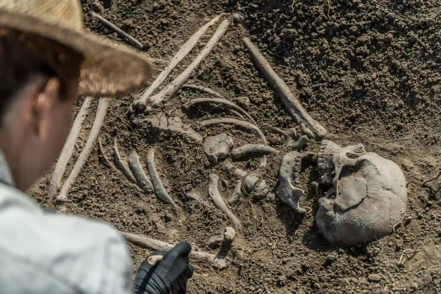 descubrimientos arqueológicos 2025