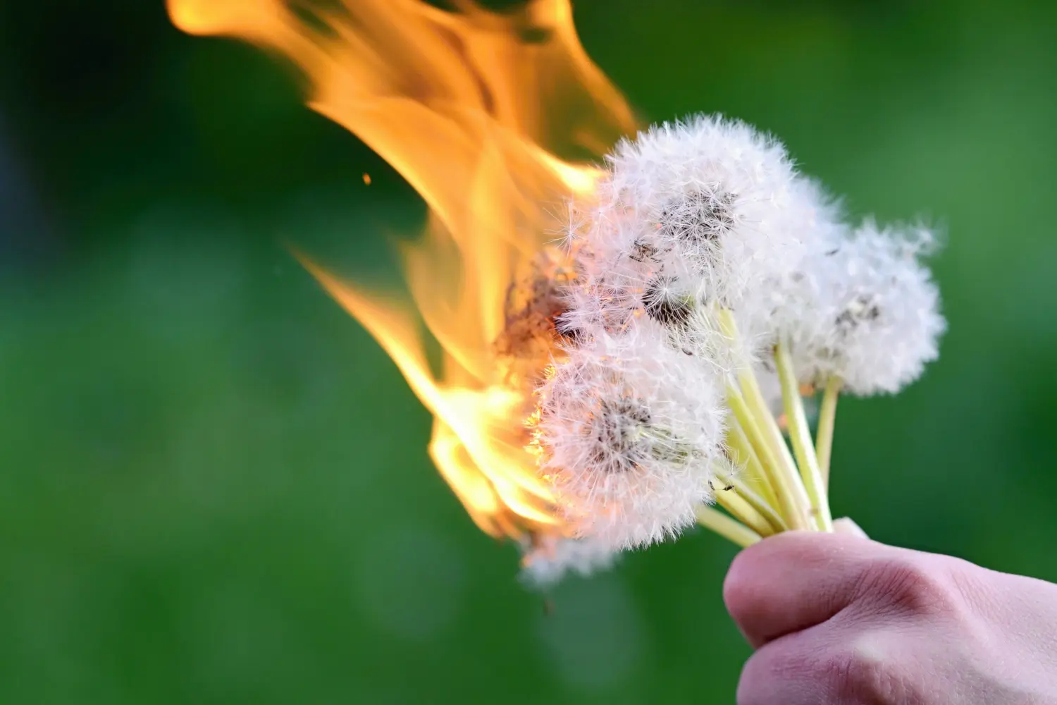 el peor año de incendios en 30 años