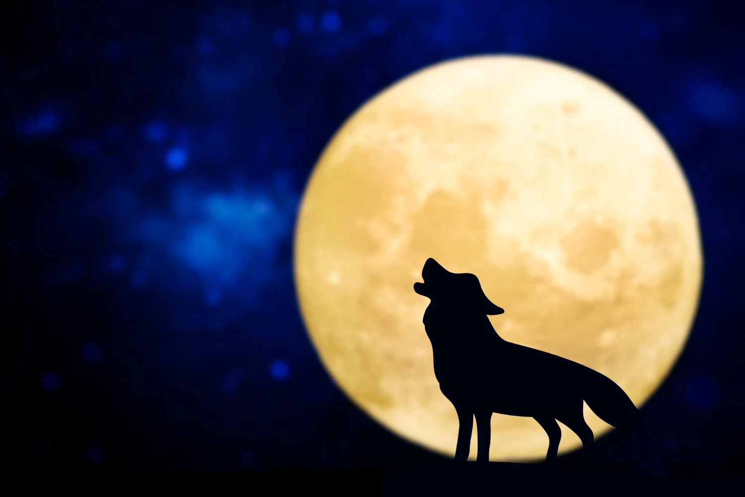 luna llena enero 2026