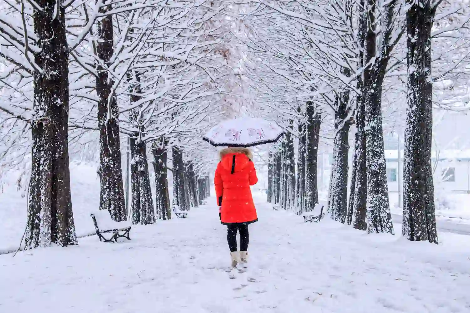previsión nieve 7 de enero