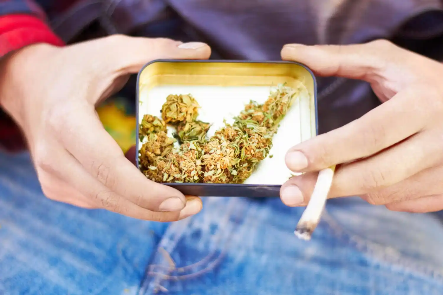 Cannabis en adolescentes