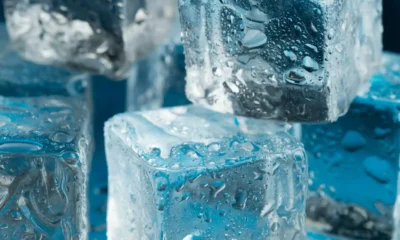 Cuota de mercado de fabricantes de hielo en España
