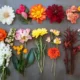 Flores San Valentin