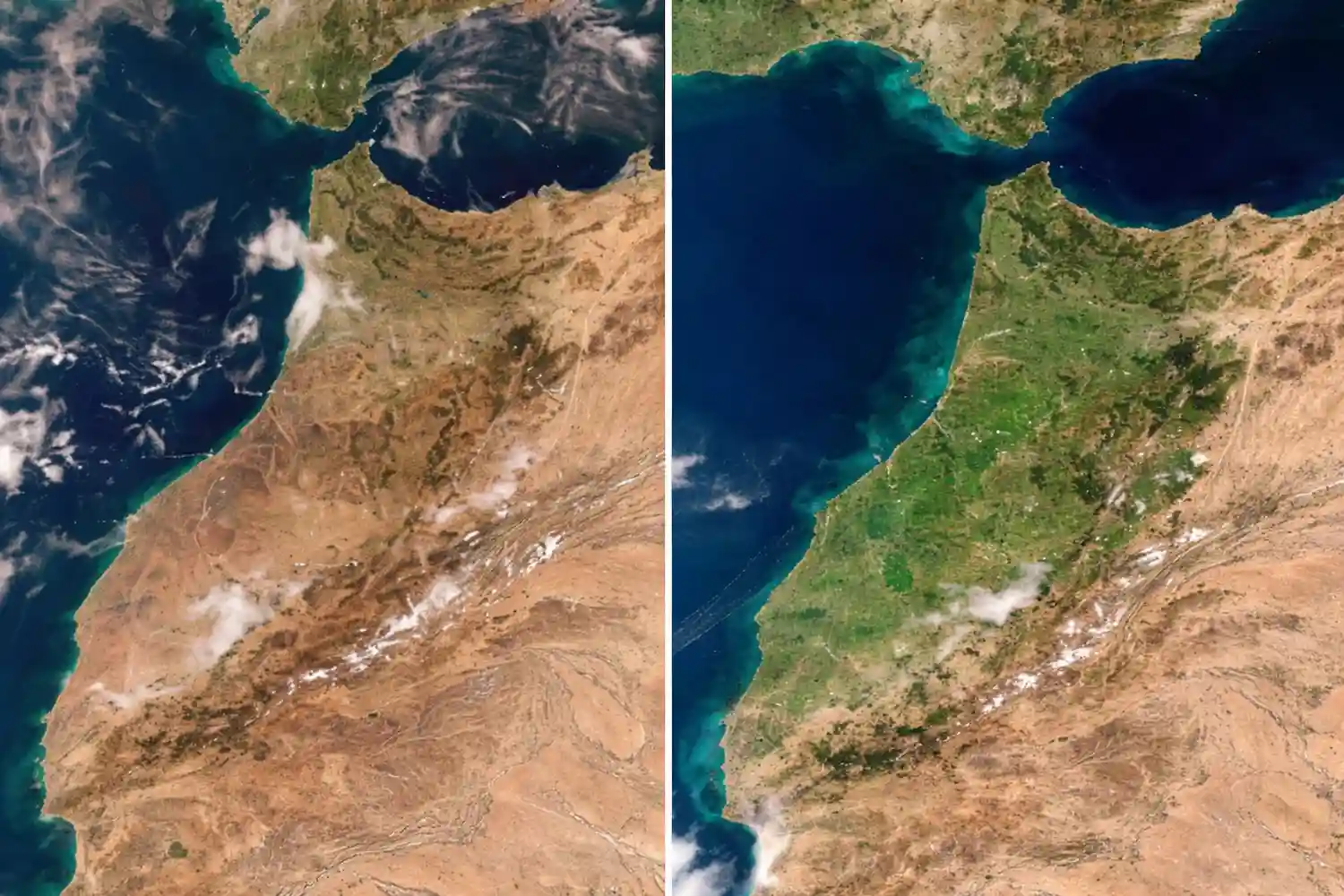 Marruecos verde tras las lluvias
