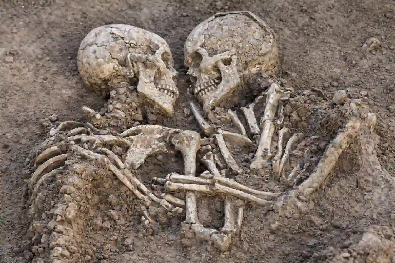 abrazo de Romito