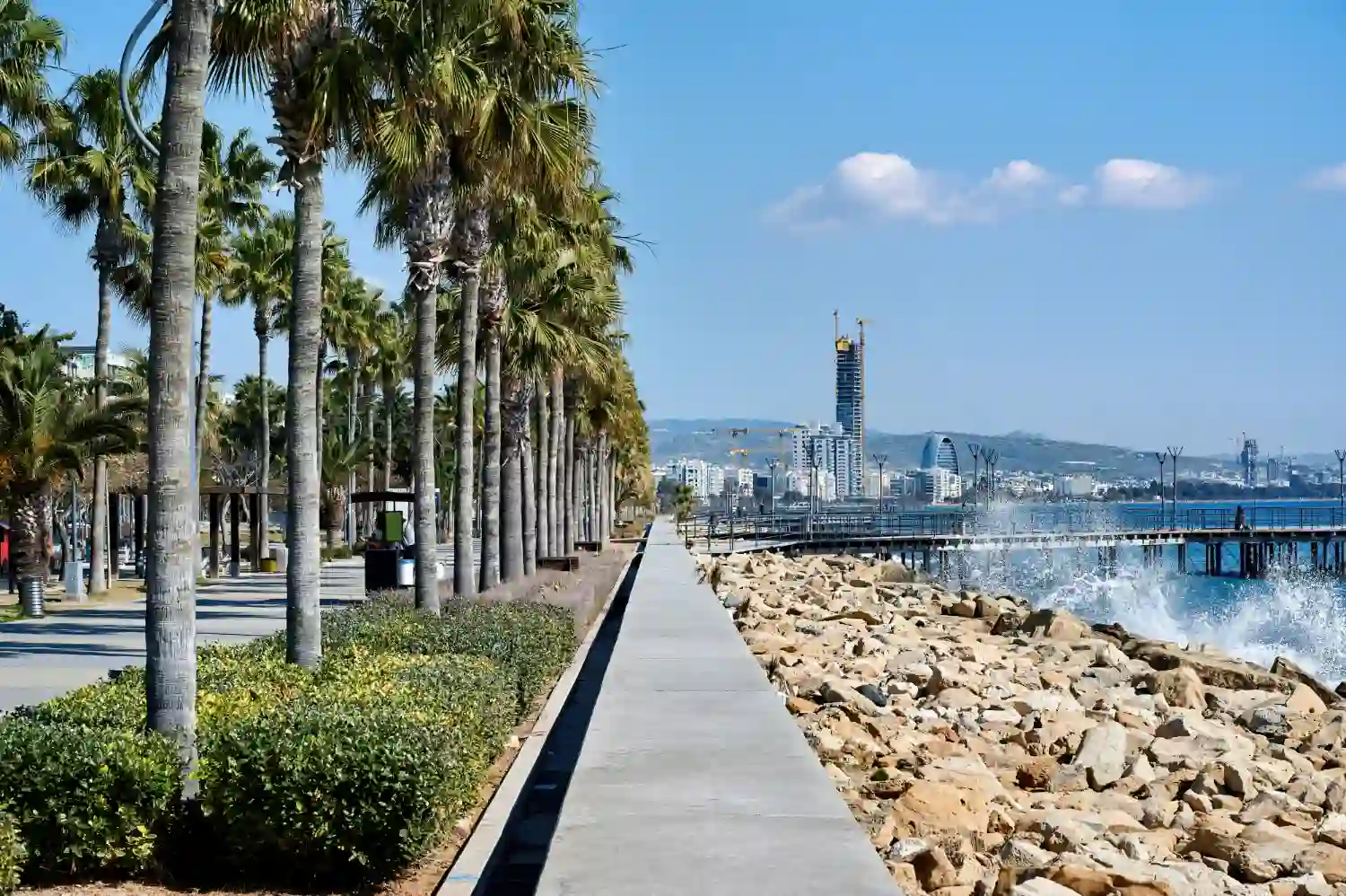 escándalo VPO Alicante