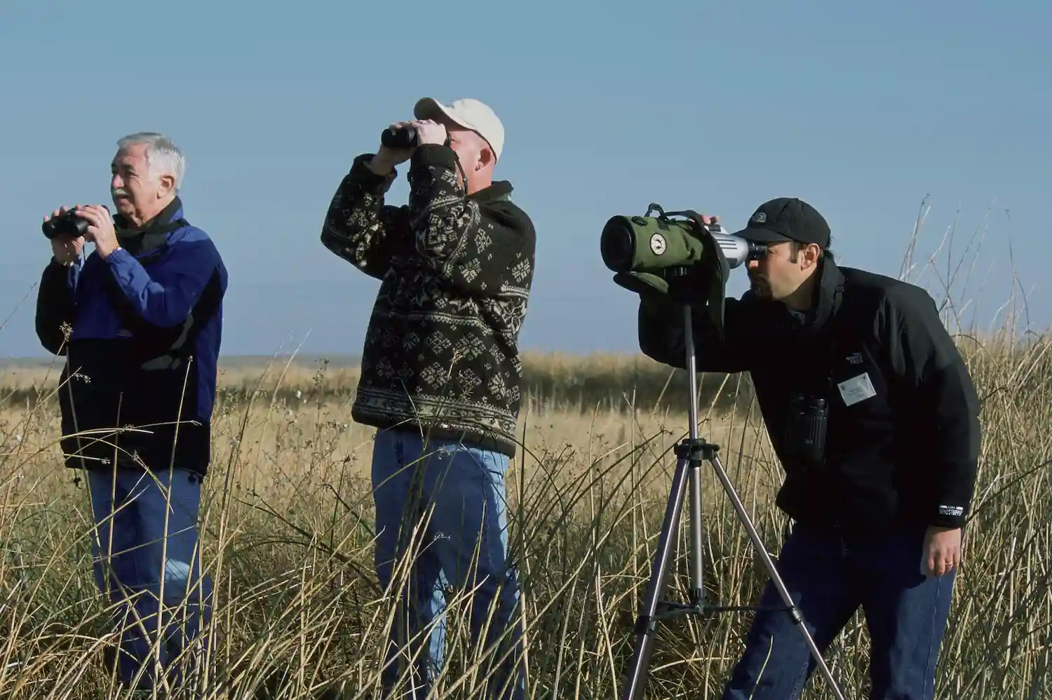 hombres viendo aves