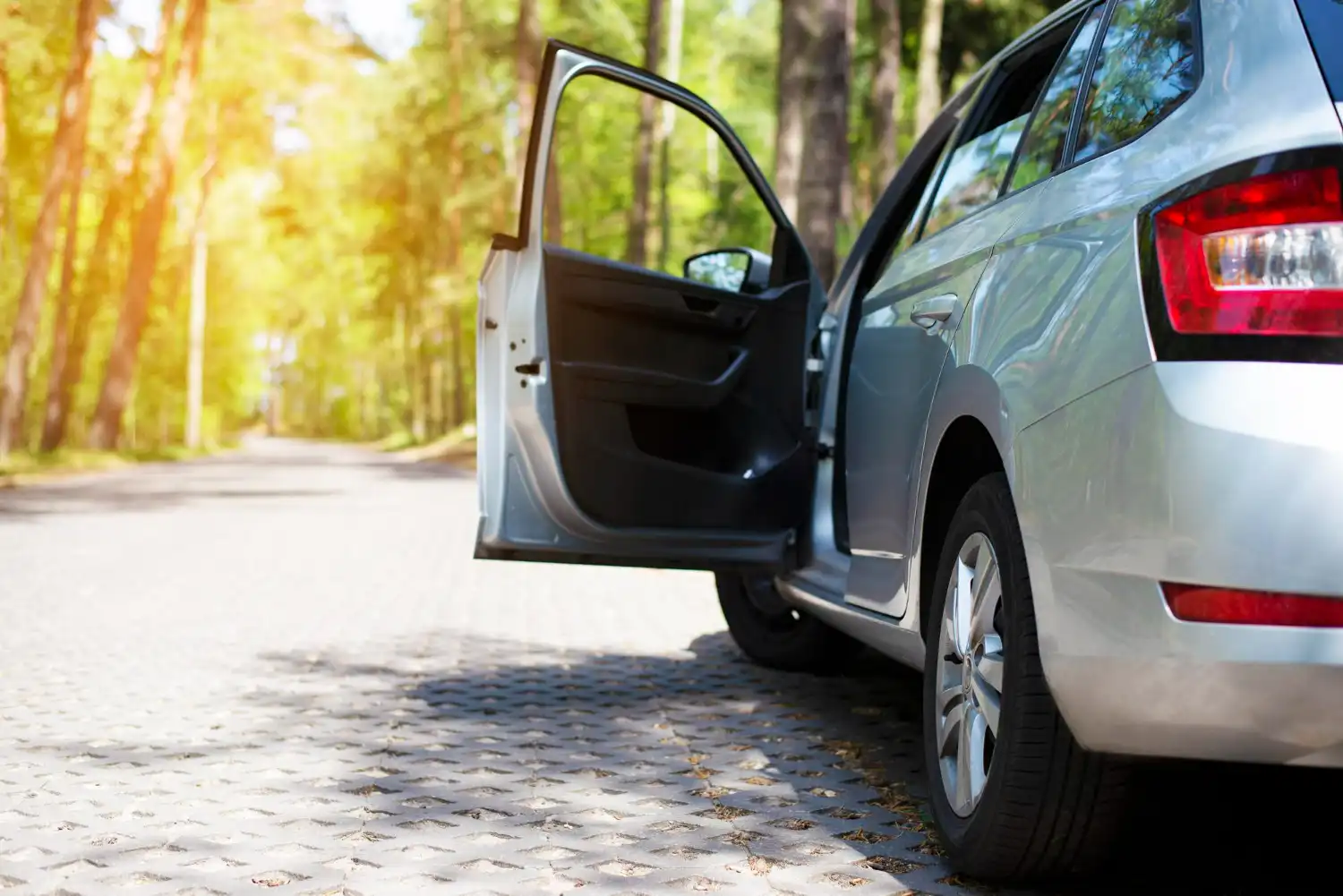 la puerta abierta de un coche