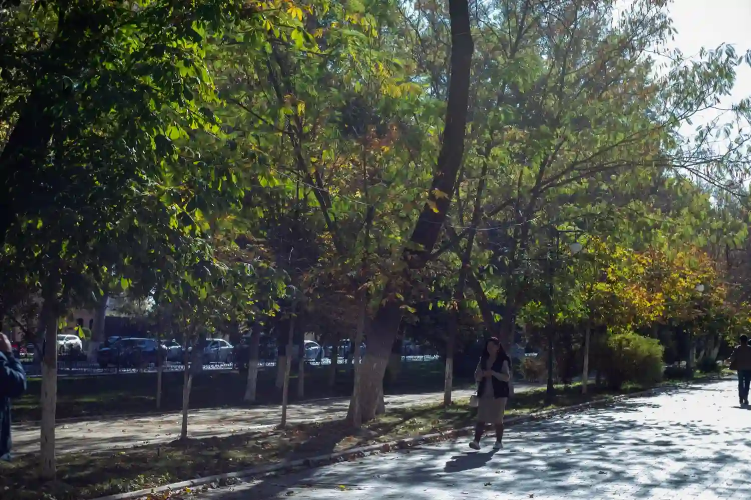 mujer camina en el parque del retiro