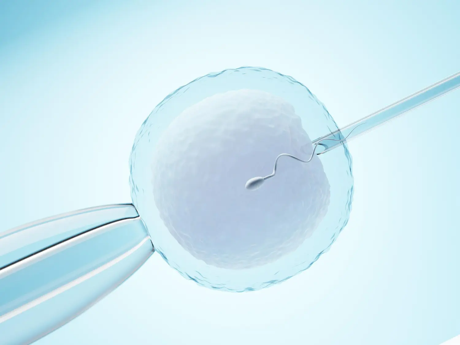 semen contiene químicos que reducen la fertilidad