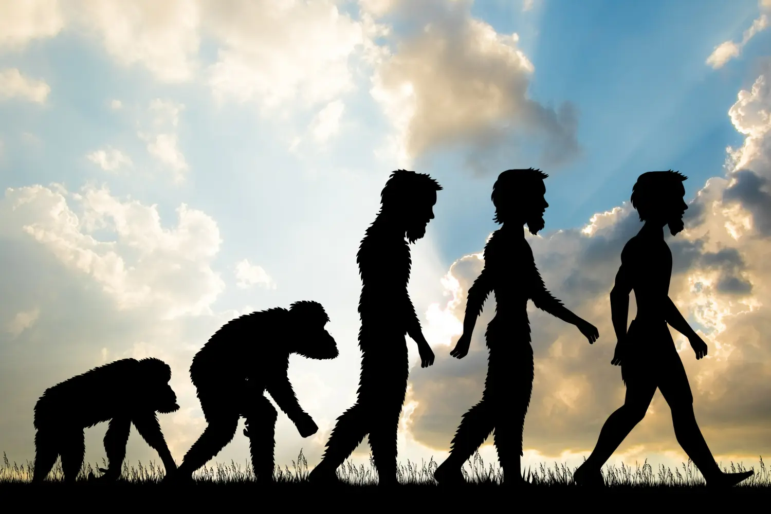 teoría de Darwin 165 años