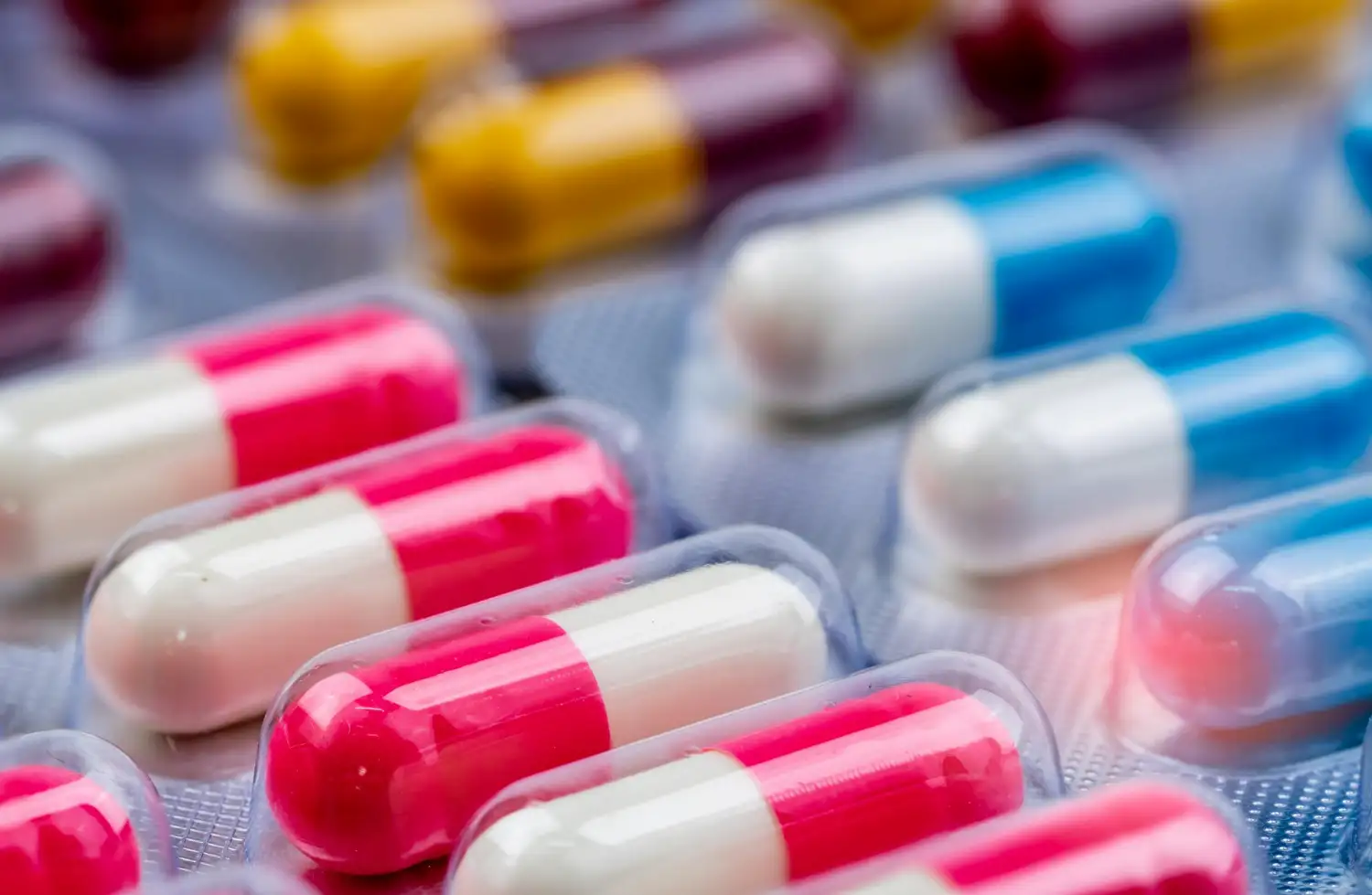antibiótico cambia tu intestino