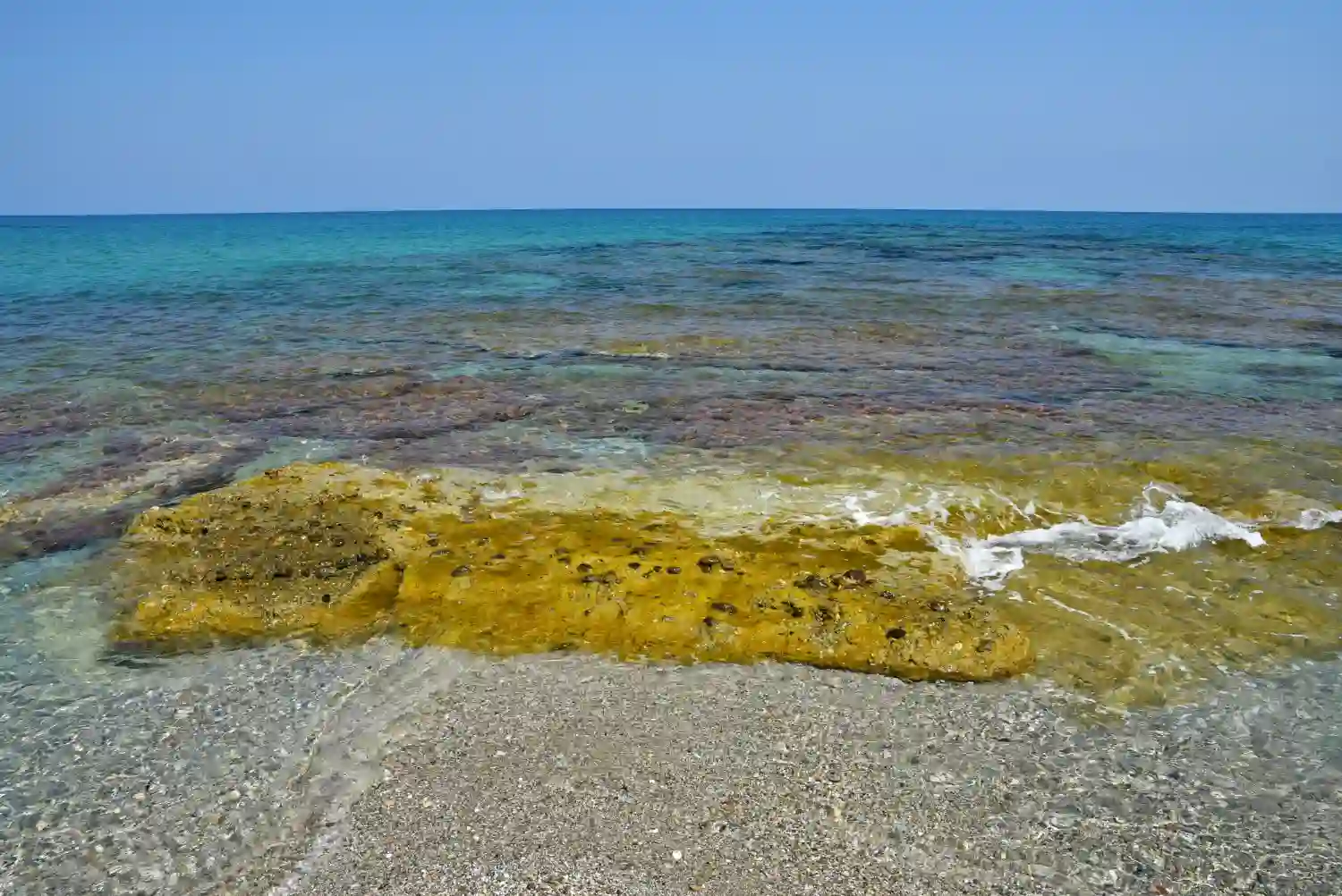 el sargazo ya asfixia al Caribe