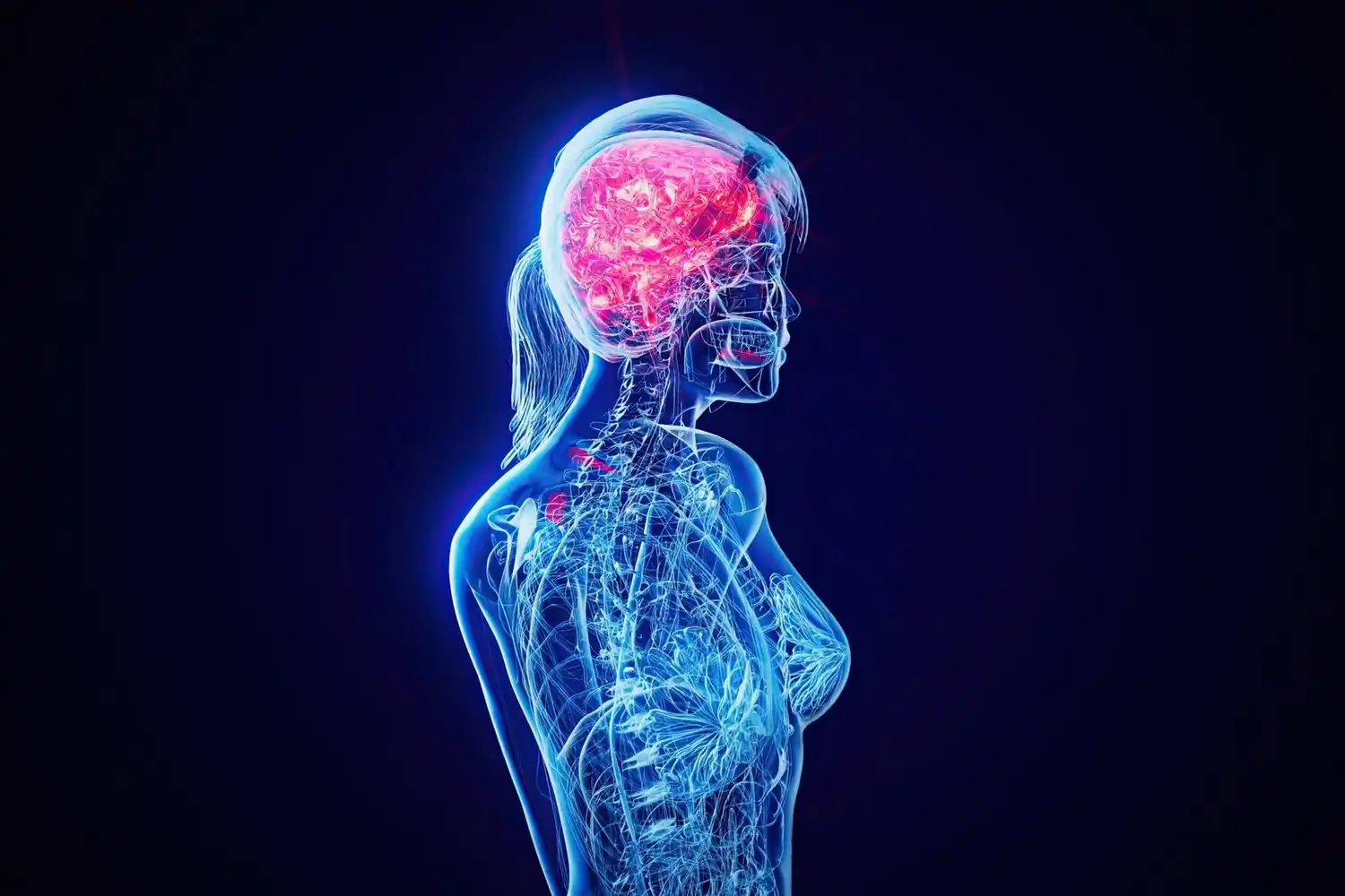la meningitis en las mujeres