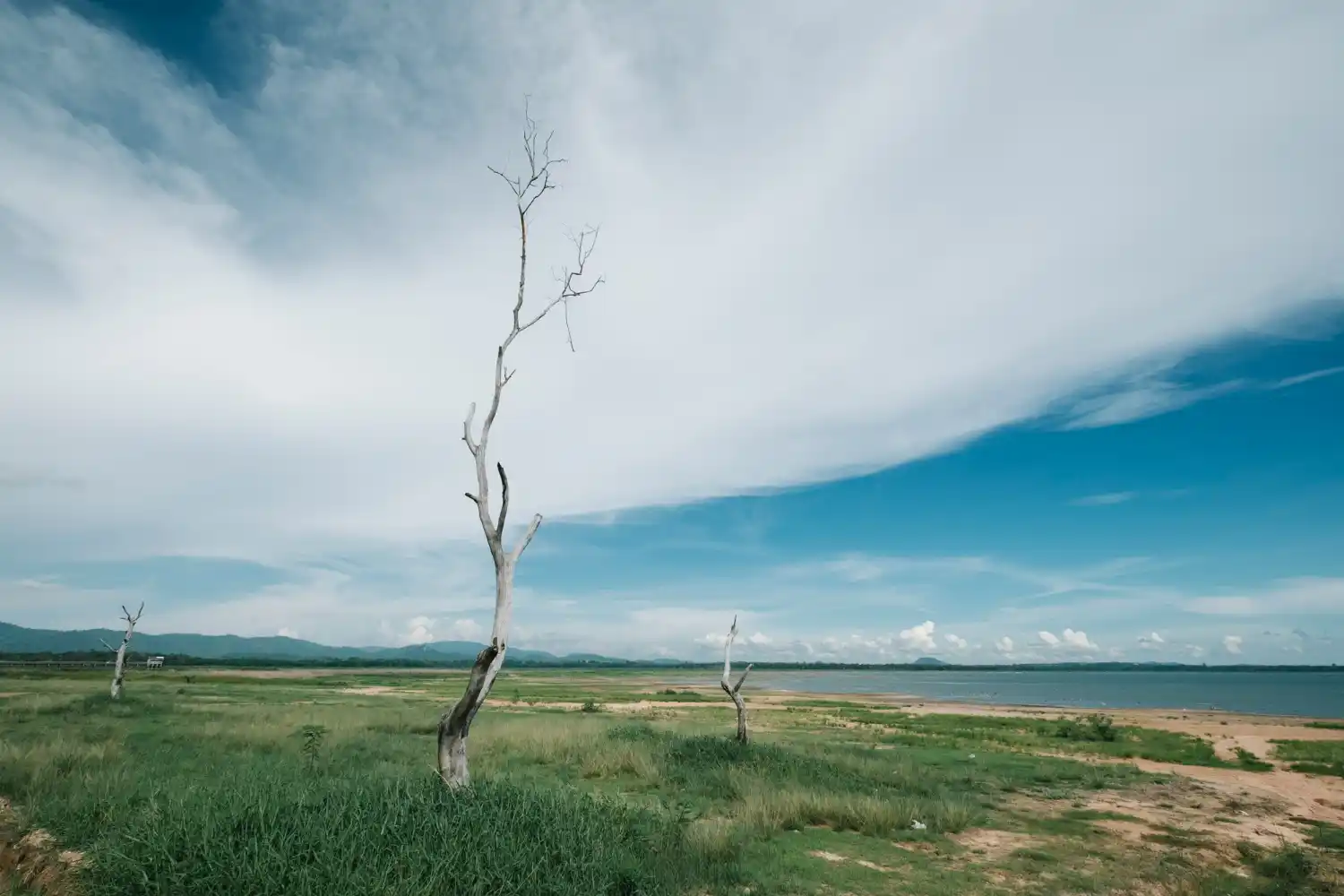 viento, calima y cambios claros por zonas