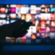 Quién es Dash IPTV pirata
