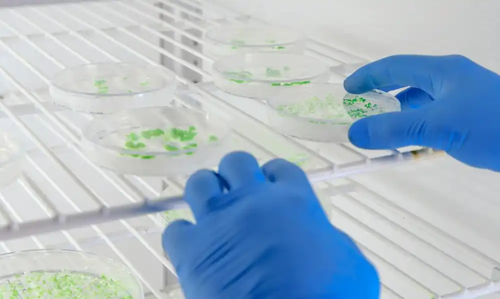 Por qué un virus no es un ser vivo