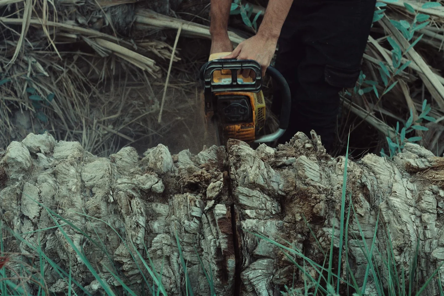 Fotografía de una motosierra cortando madera para ilustrar por qué se inventaron las motosierras
