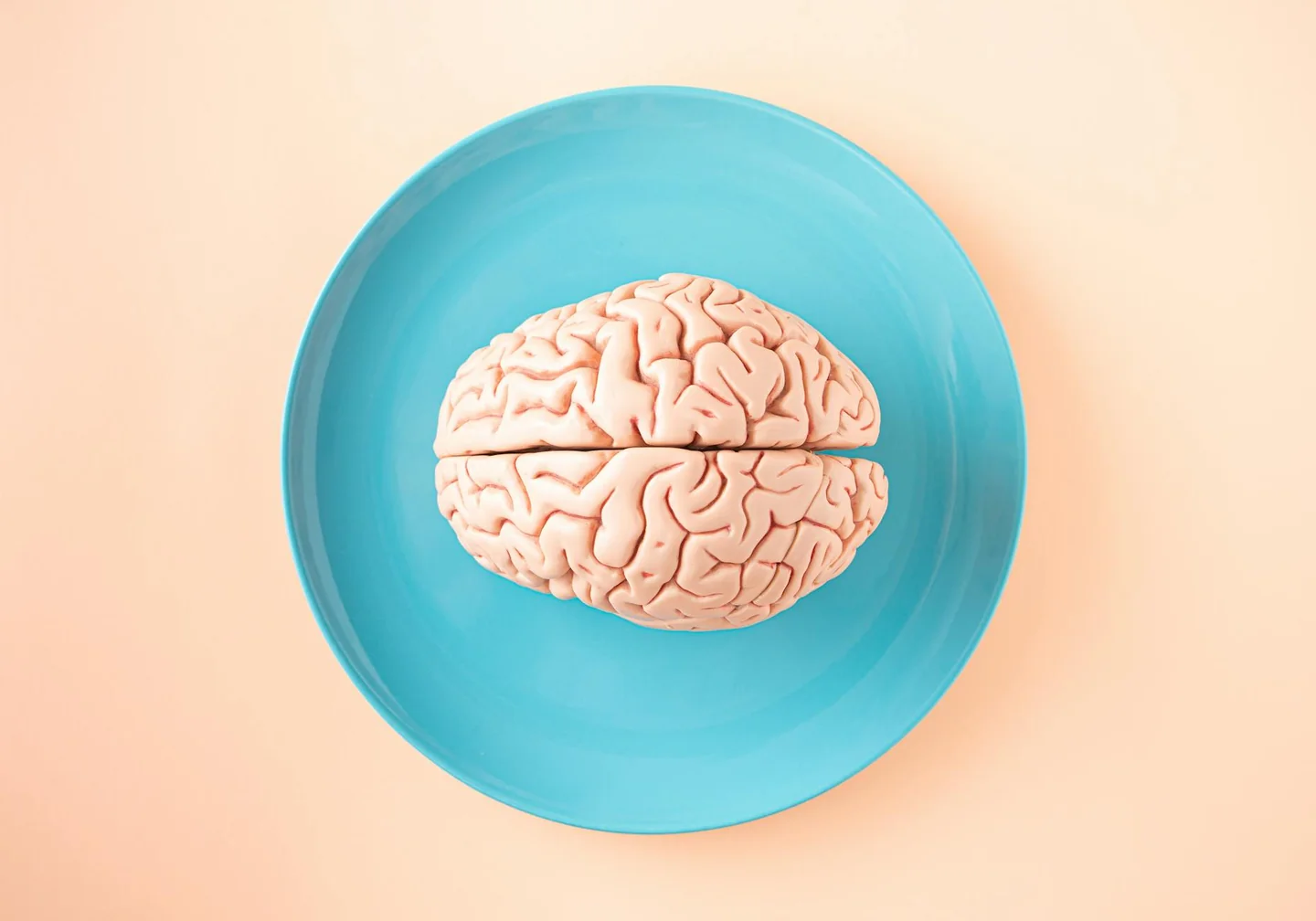 Imagen de un modelo de cerebro humano para ilustrar por qué recordamos la nueva ciencia de la memoria.