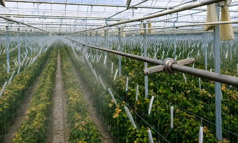 la nebulización de agua