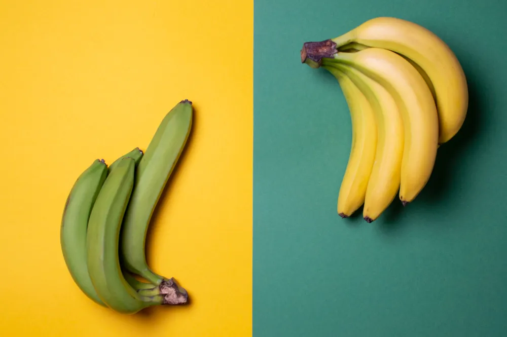 plátano y banana