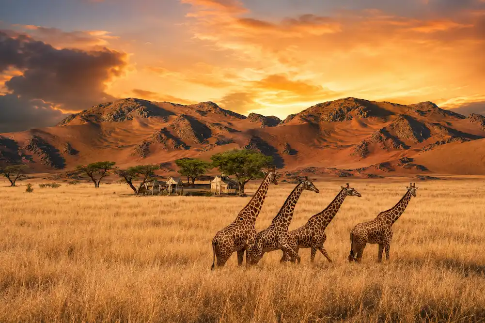 viaje a África