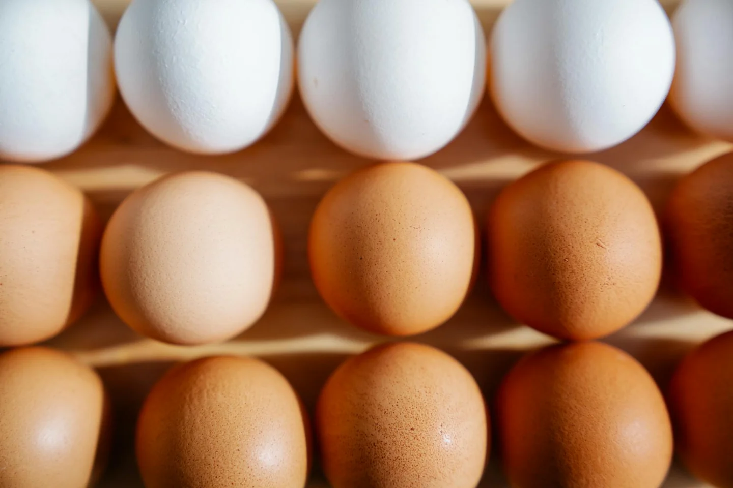 Fotografía de huevos blancos y marrones en una bandeja para ilustrar porque hay huevos blancos y marrones en un artículo sobre sus diferencias y origen.