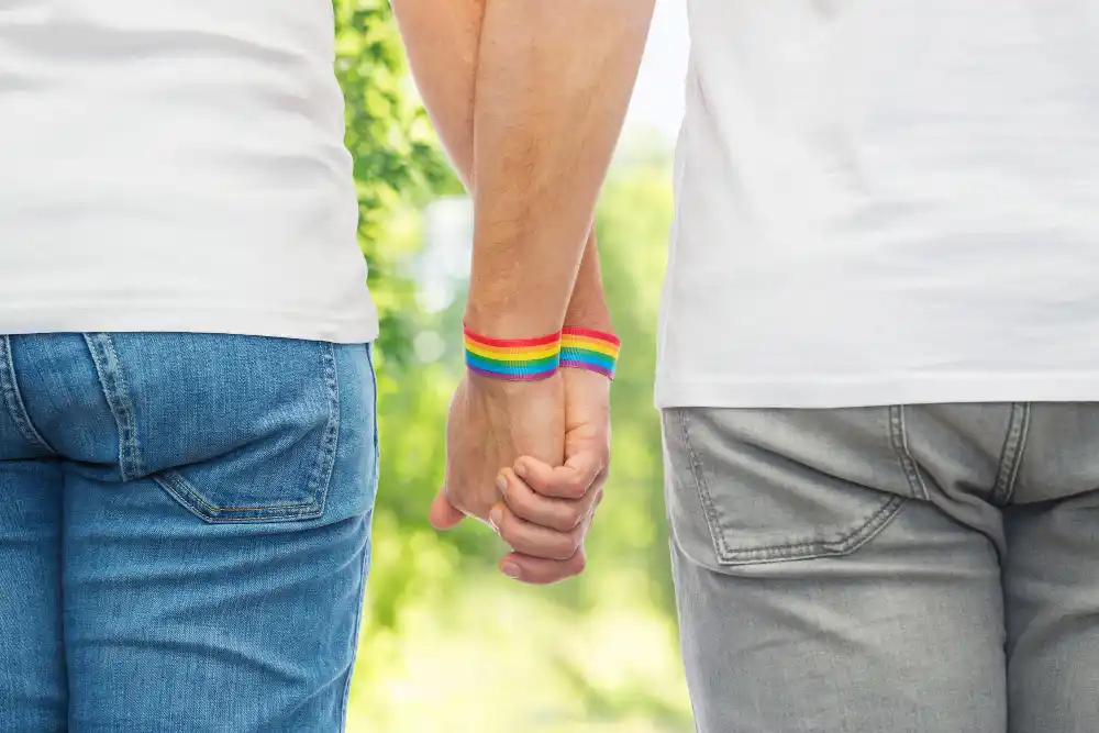 Senador italiano ataca pareja gay