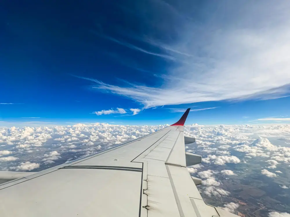 ala de avion en vuelo