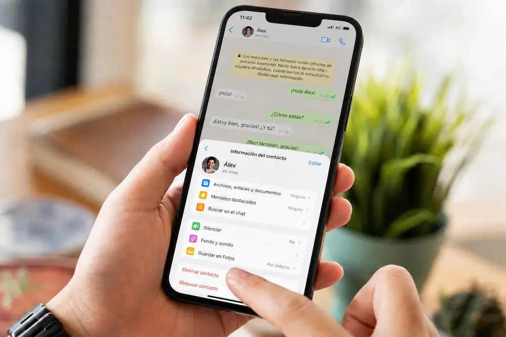eliminar un contacto de WhatsApp