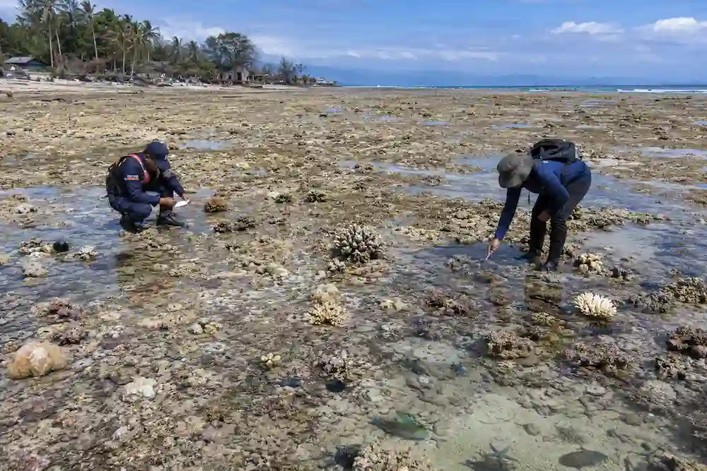 fondo marino el terremoto de Filipinas