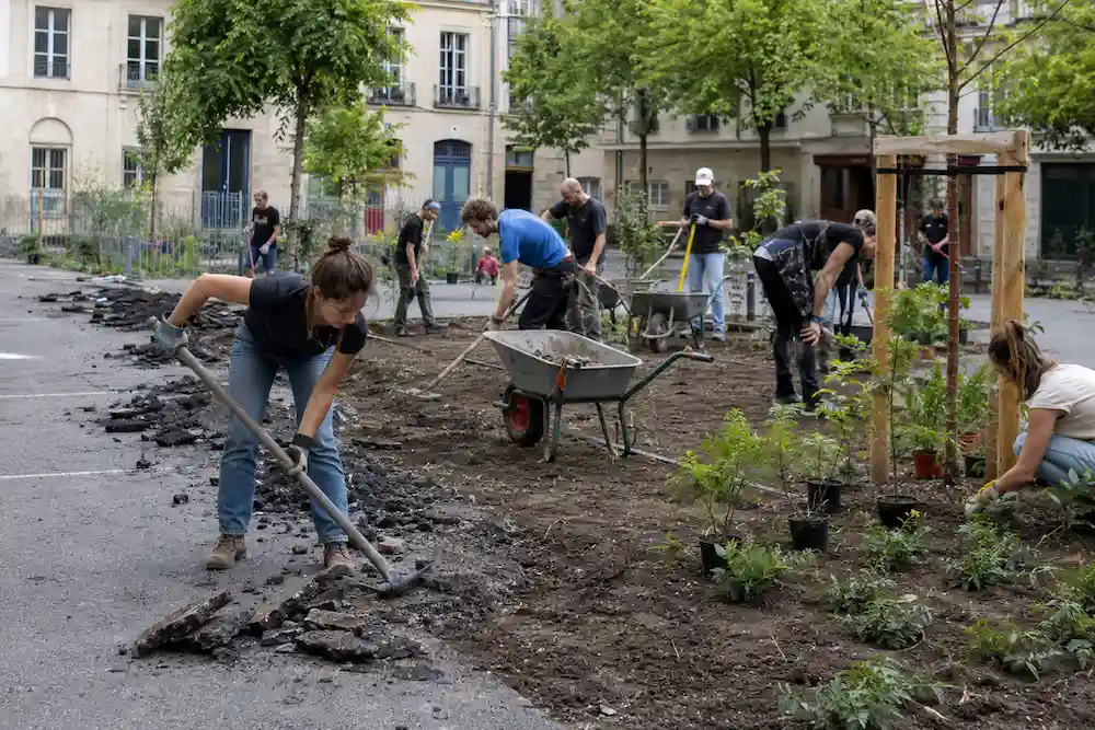 Depaving ¿Qué es el depaving y por qué puede enfriar una ciudad?