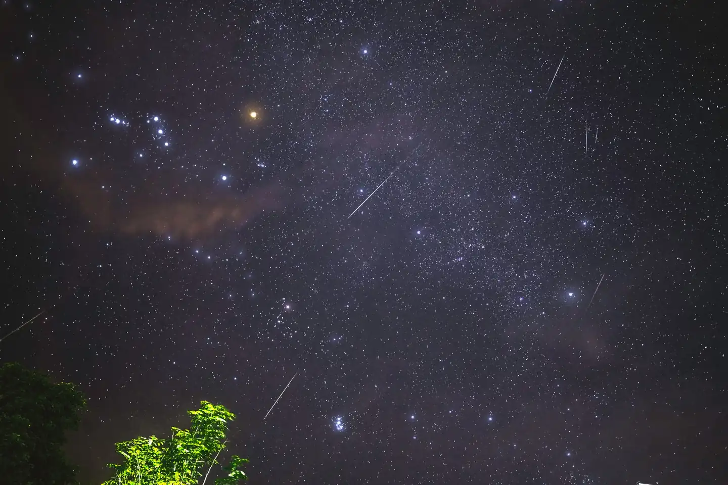 Observación de las delta acuáridas 2026 cuándo se ven en una noche oscura de verano