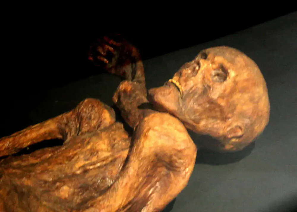 microbios siguen vivos en Ötzi