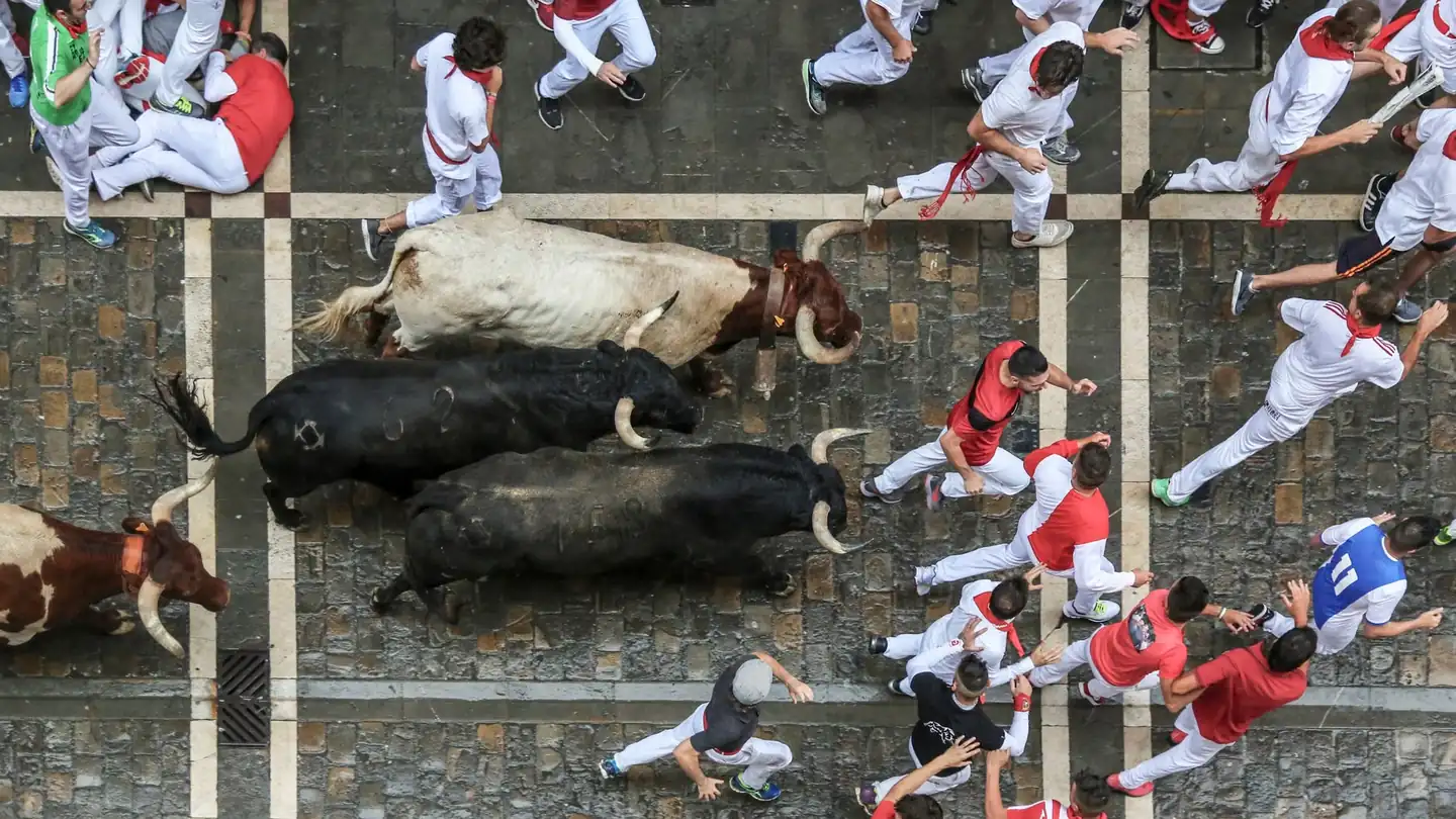 Imagen del origen de los Sanfermines en Pamplona durante el encierro de toros.