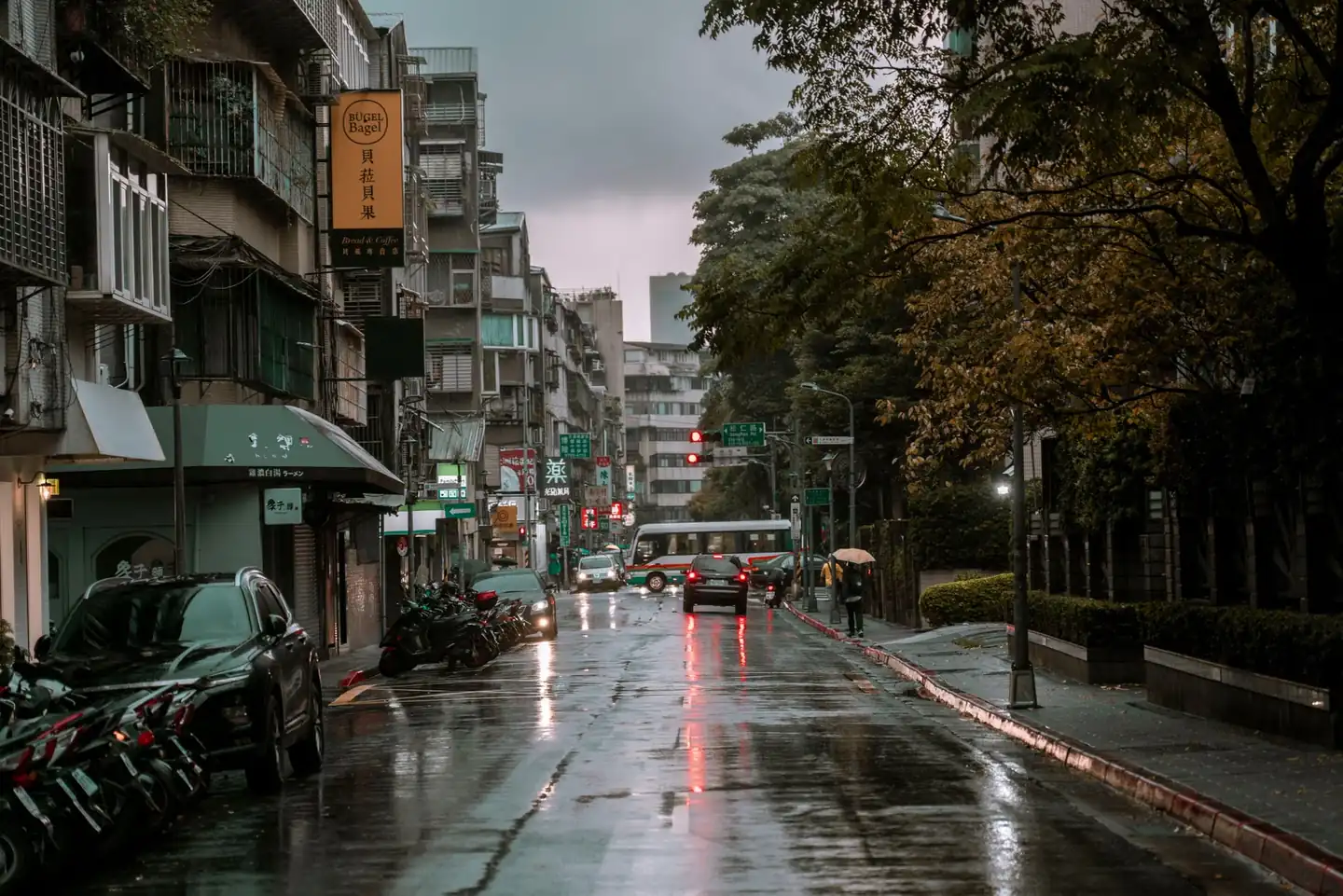 Imagen para explicar por qué cada ciudad huele distinto cuando llueve en una calle urbana bajo la lluvia.