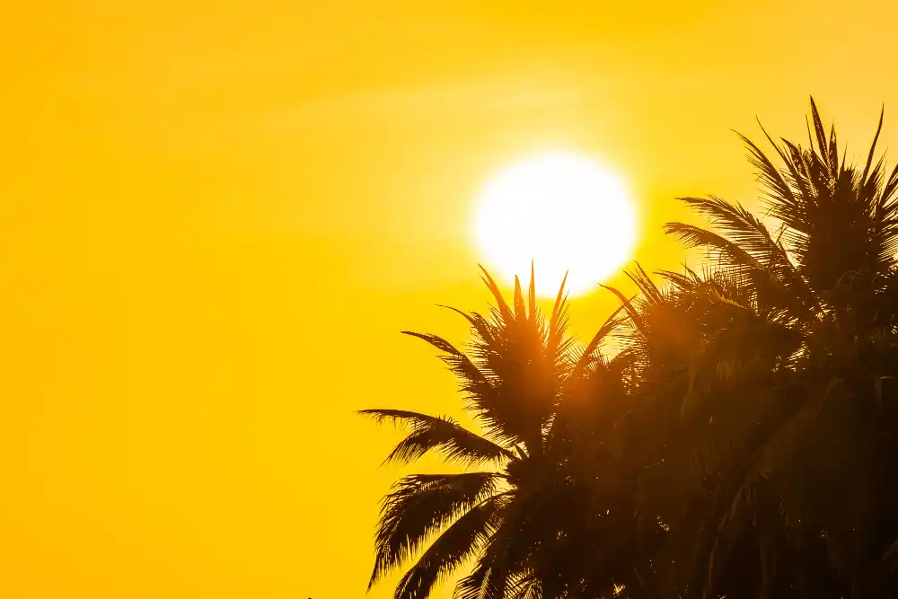tiempo hoy 16 de junio