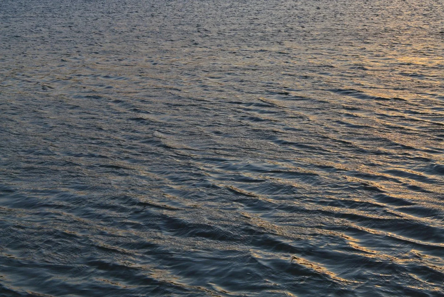 Imagen para explicar por qué el agua del mar bate récords de temperatura, mostrando la superficie del mar en un día muy cálido.