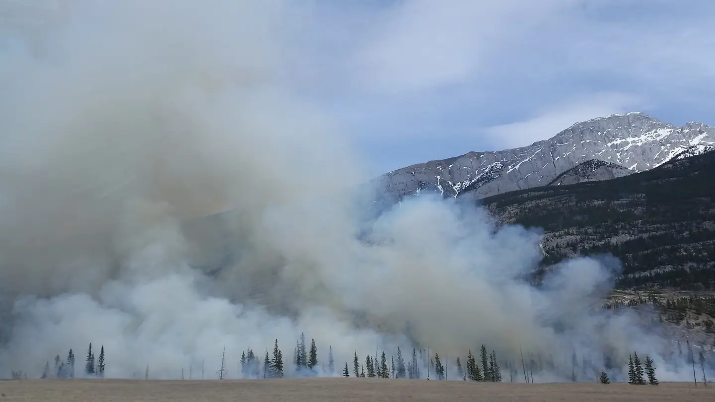 Imagen de una gran columna de humo de un incendio forestal para ilustrar qué es una nube de fuego pirocumulonimbo.