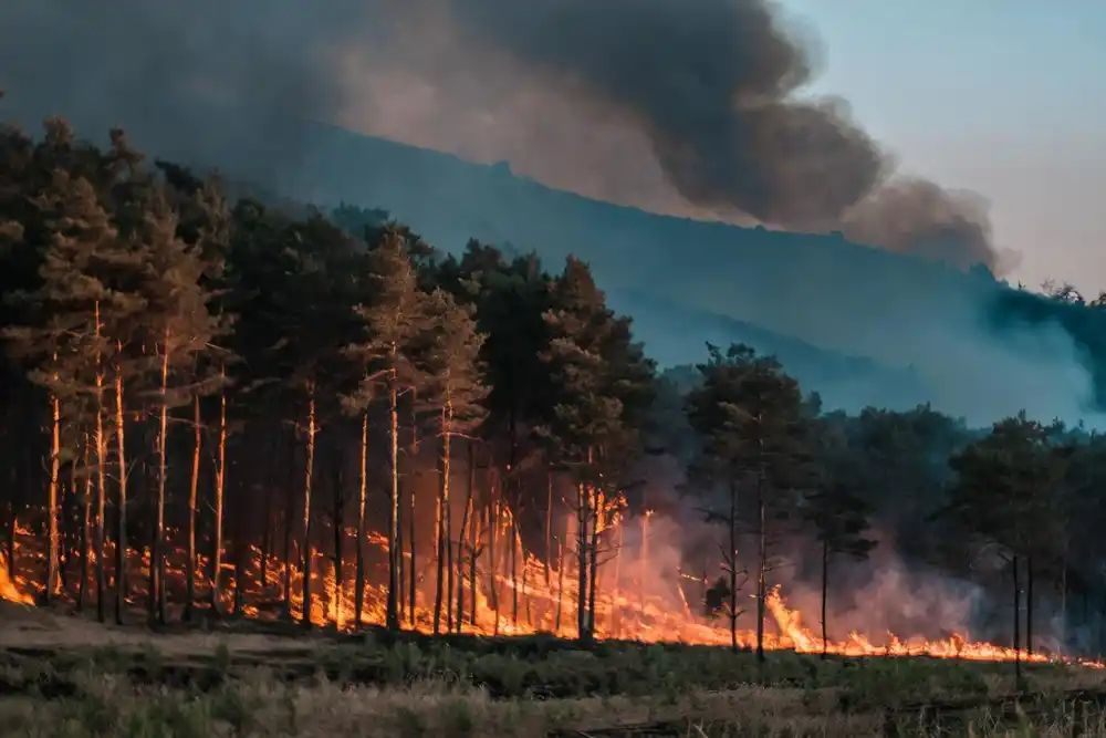 Cómo avanza el incendio de Tarragona