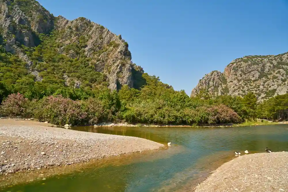 Sumacàrcer