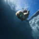 Gafas de natación para prevenir la irritación ocular en la piscina