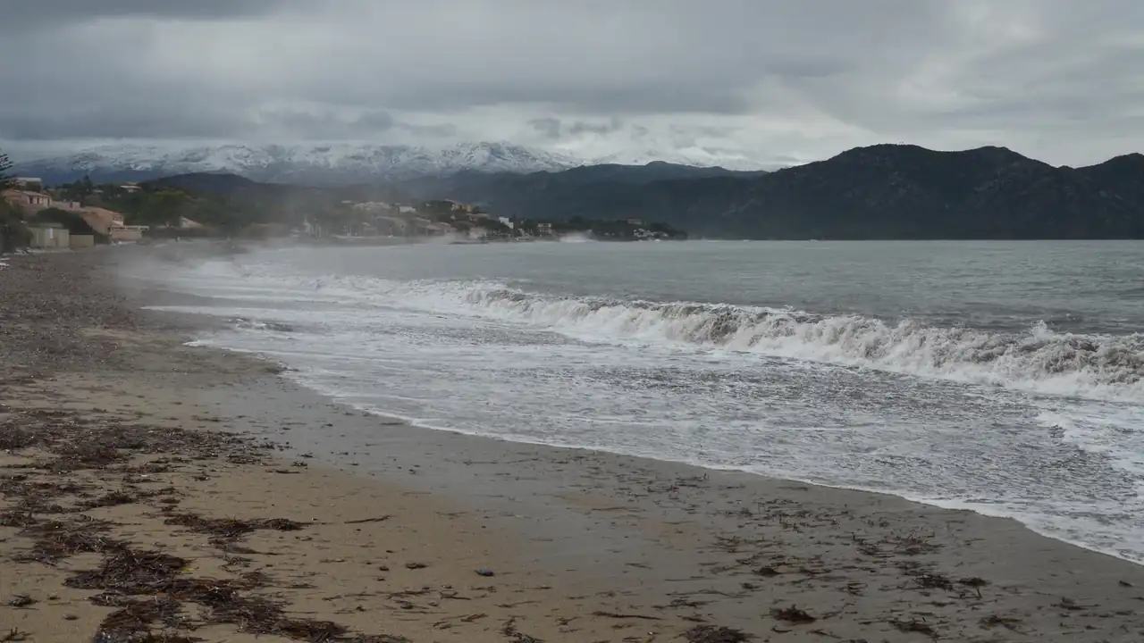 Olor marino percibido a distancia sobre una costa con oleaje y viento