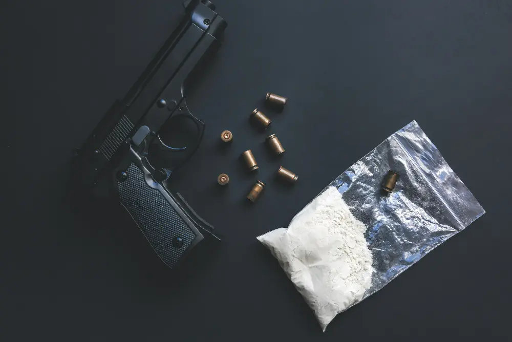 dinero narco