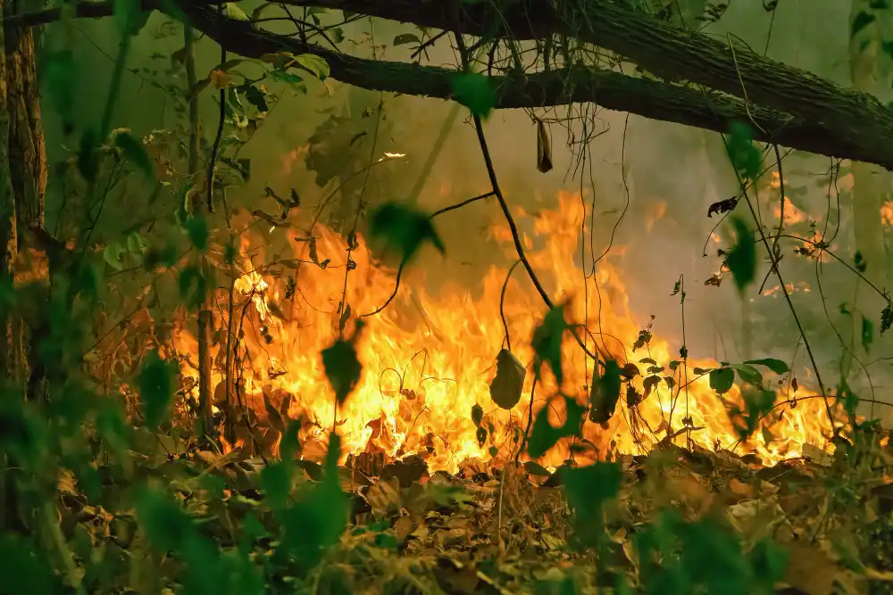 el incendio de Aiguamúrcia