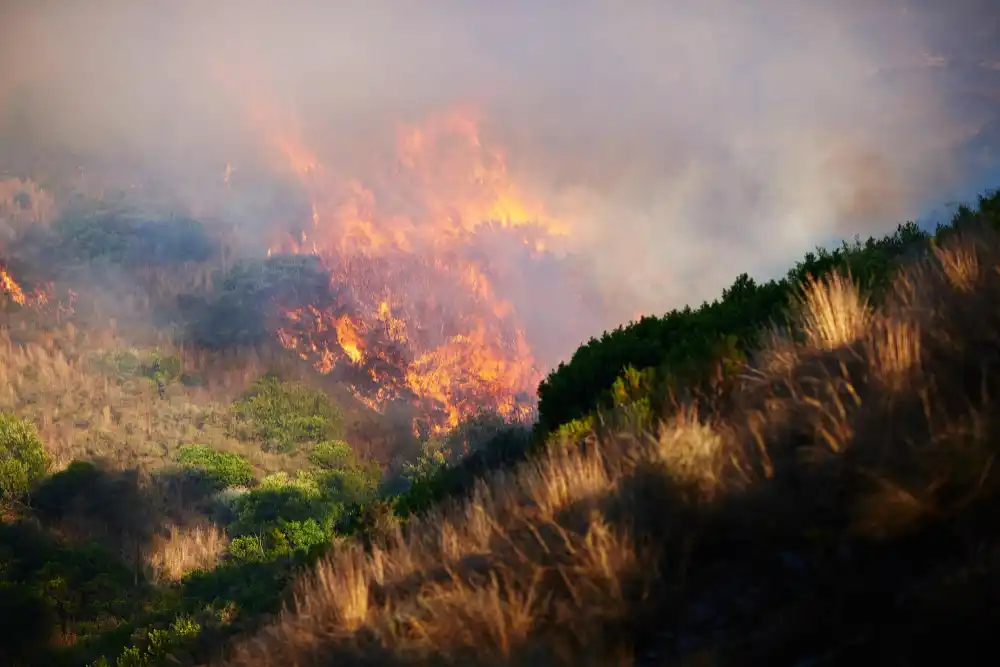 el incendio de Fontainebleau