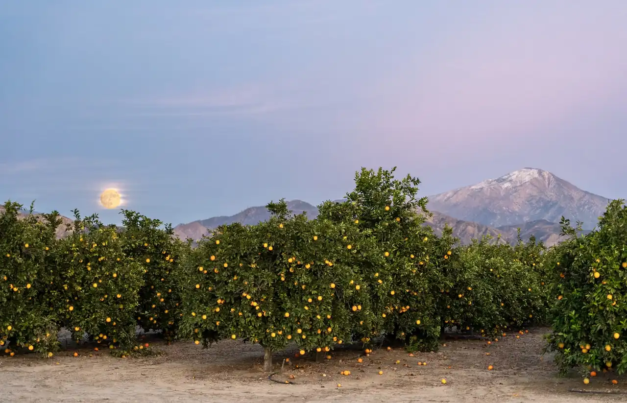 Luna naranja en el horizonte sobre un paisaje montañoso al anochecer