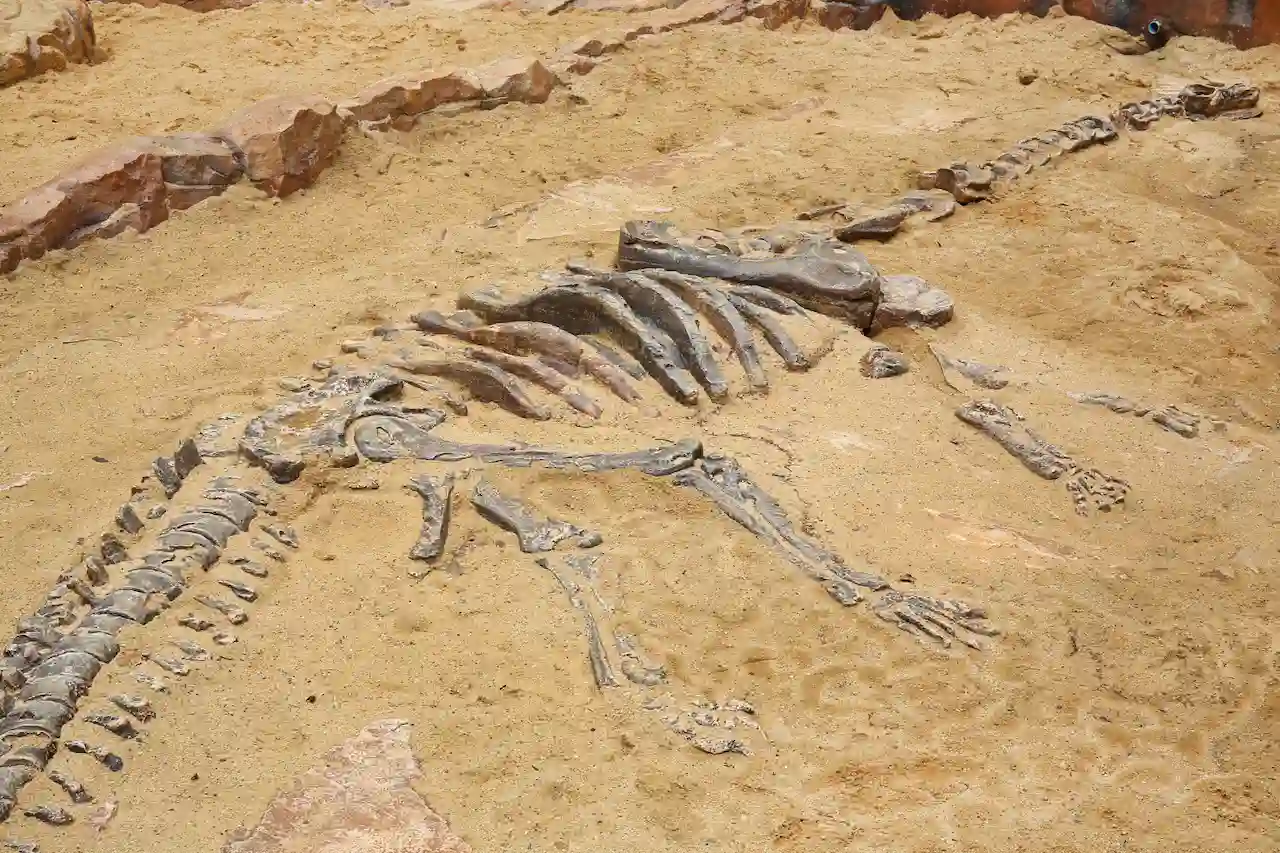 nueva especie de dinosaurio en La Rioja
