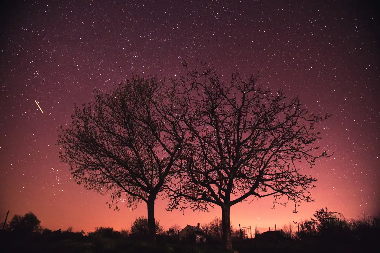 Observación de la doble lluvia de estrellas de julio de 2026 bajo un cielo oscuro en Uruguay