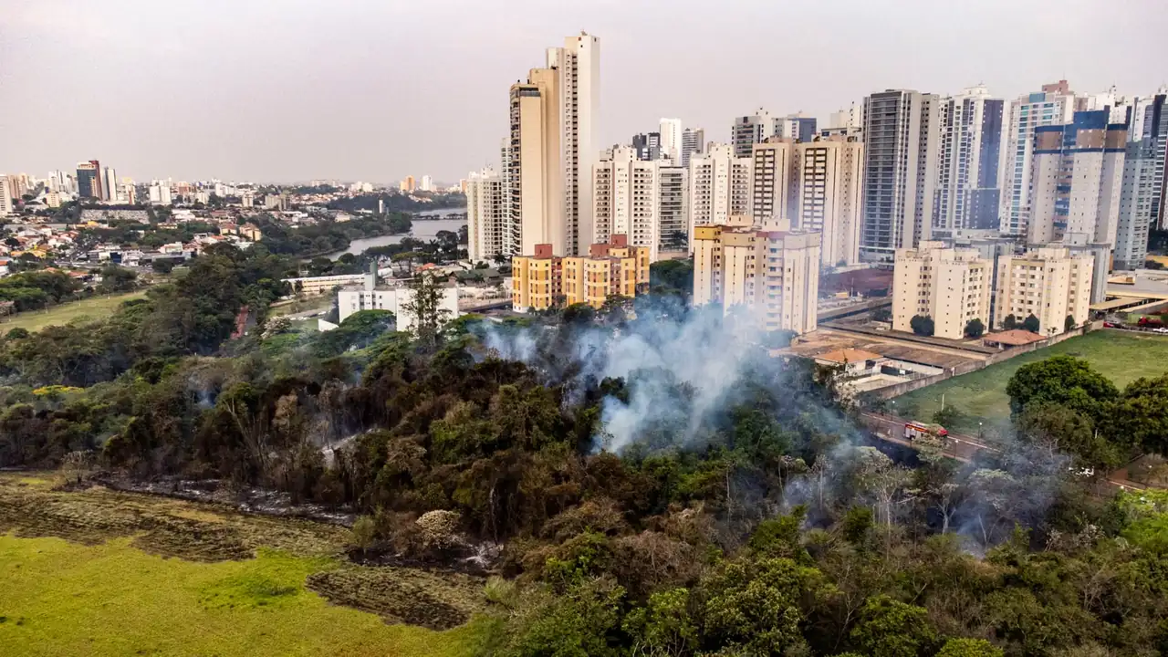 Humo de incendios en ciudades sobre edificios y calles urbanas